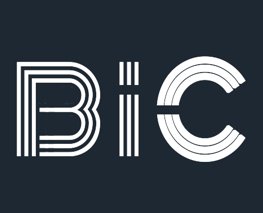 BIZINCAR